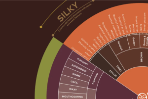 Callebaut's New Taste Wheel